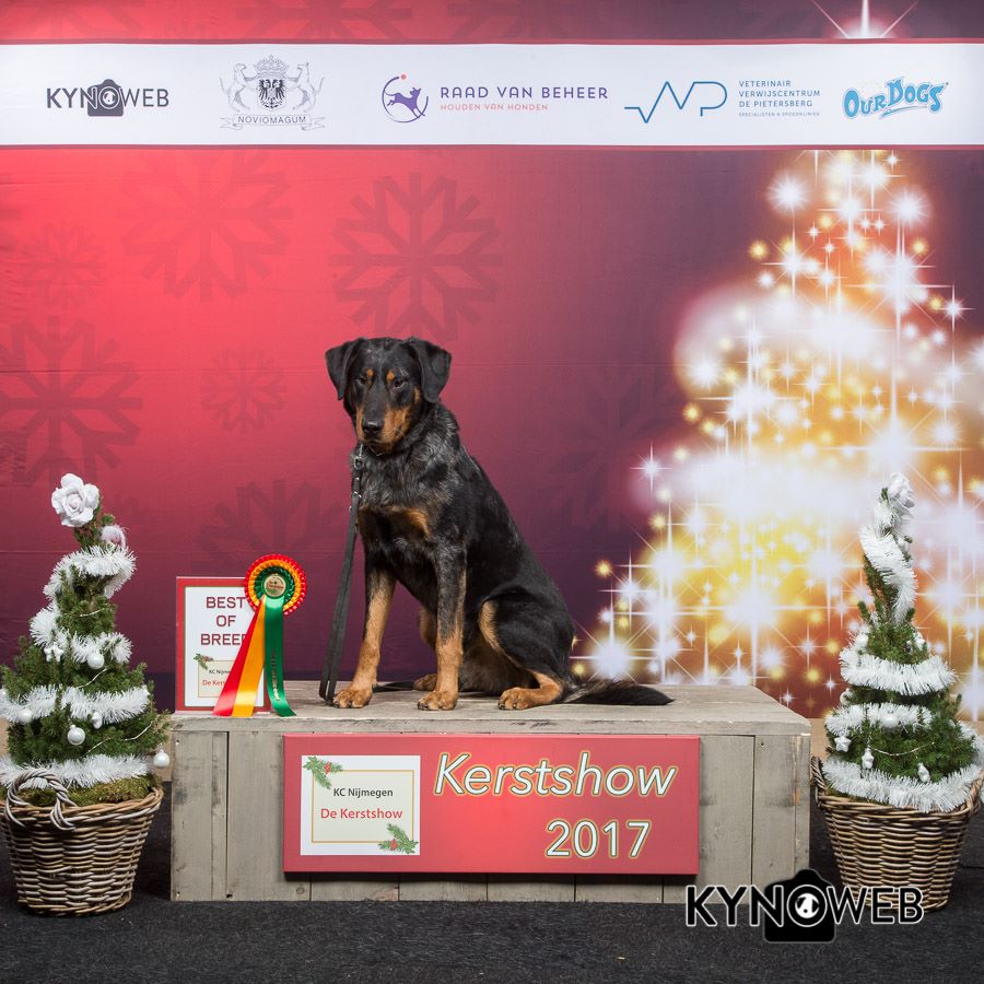 Du Domaine De Corail - Kerstshow  17/12/17